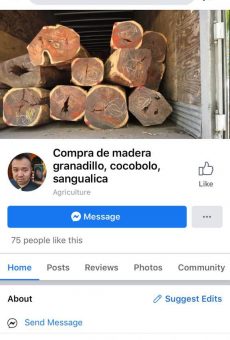 WhatsApp Image 2020-03-28 at 12.18.26