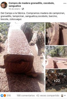 WhatsApp Image 2020-03-28 at 13.05.53 (1)