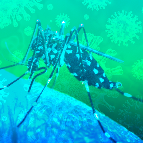 covidengue