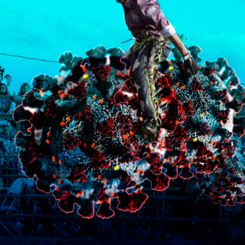 jaripeo1
